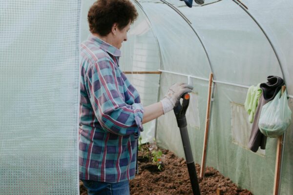 Modernus polikarbonatinis šiltnamis ir estetiškos pakeliamos lysvės jaukiame namų sode.